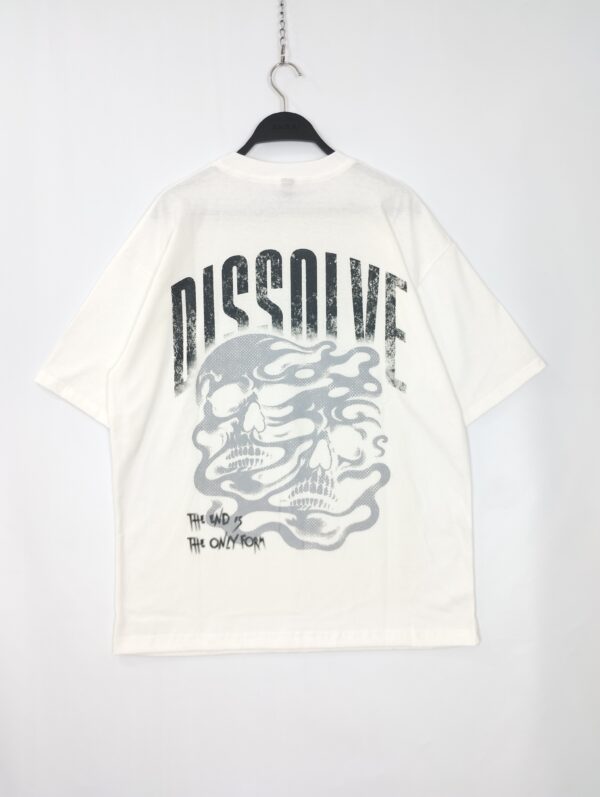 IMG_20260129_203453428 DISSOLVE OR