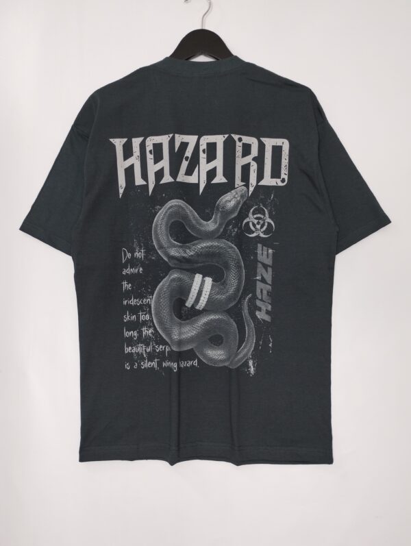 HAZARD OR